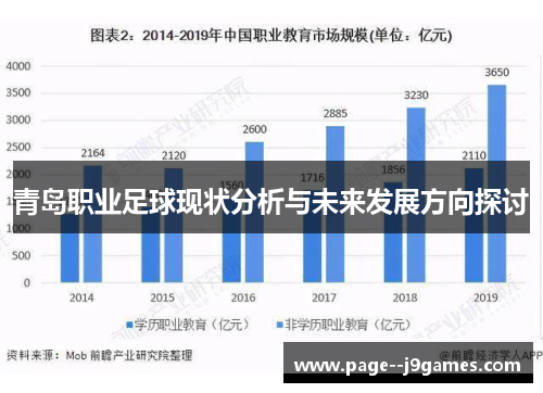 青岛职业足球现状分析与未来发展方向探讨